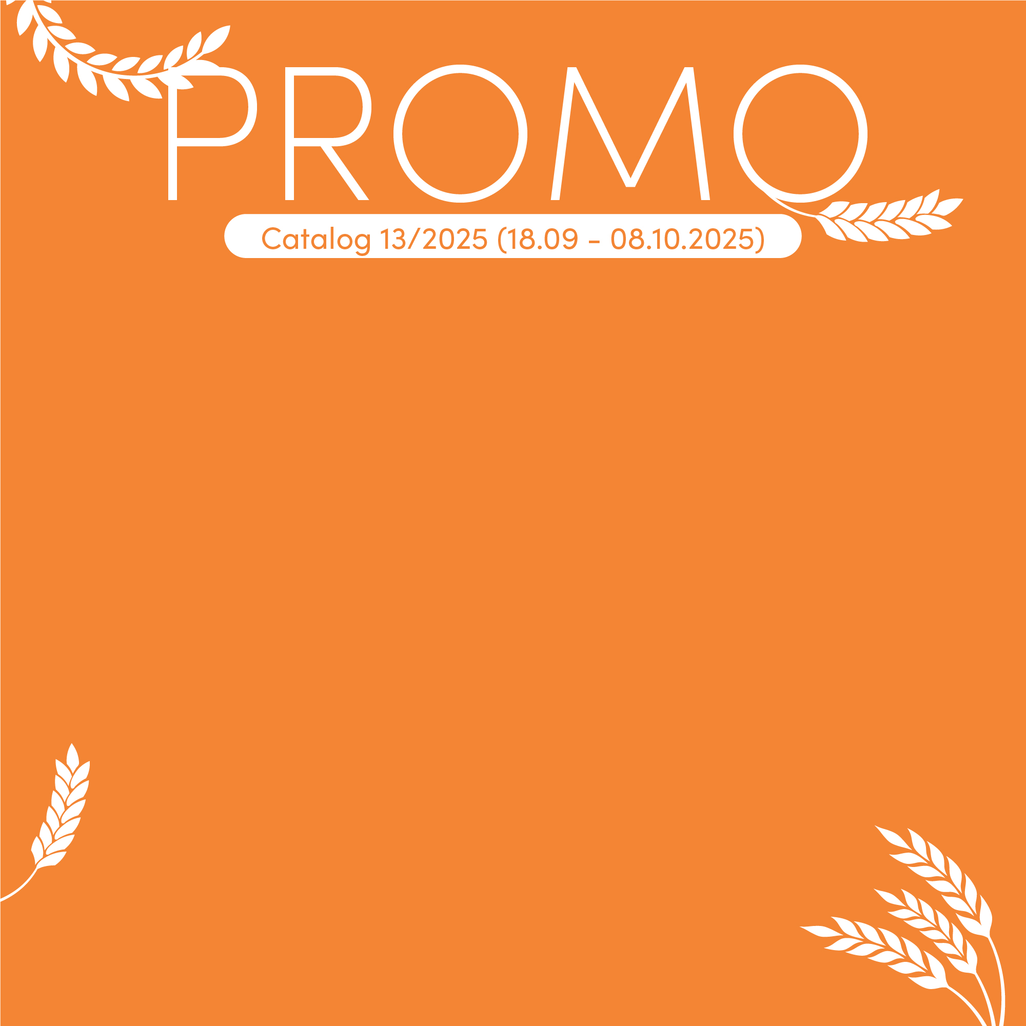 Kataloogi peamine PROMO