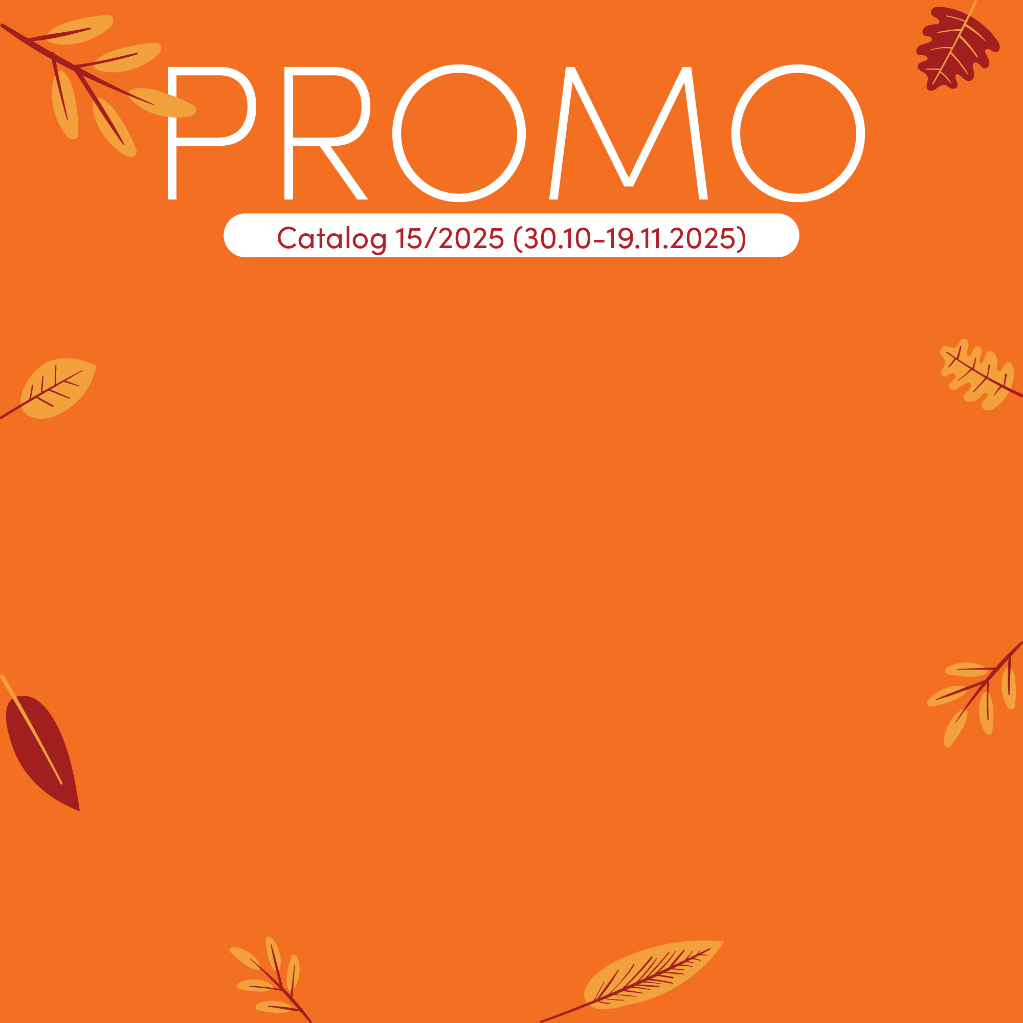 PROMO principal del catálogo